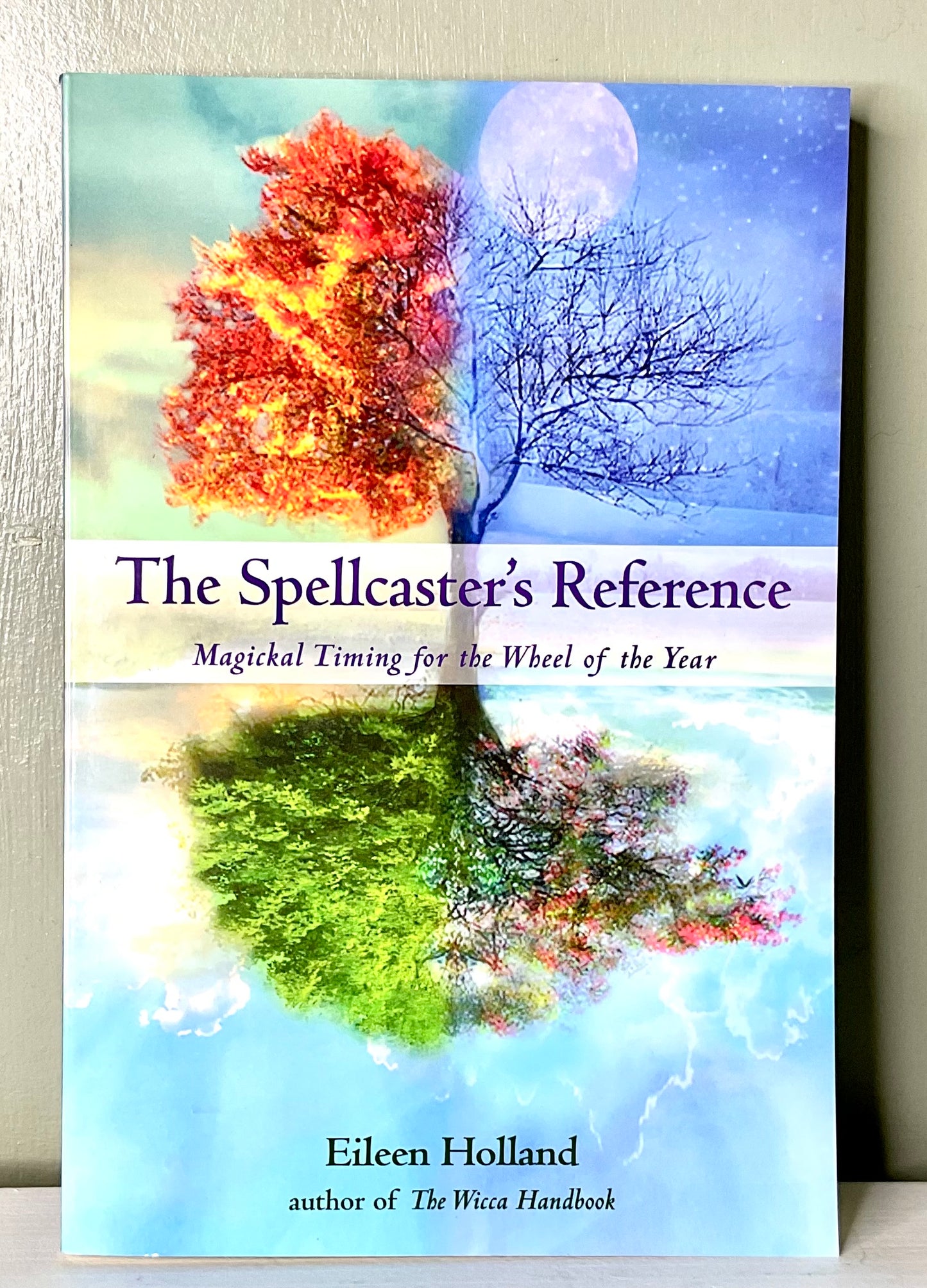 The Spellcaster’s Reference